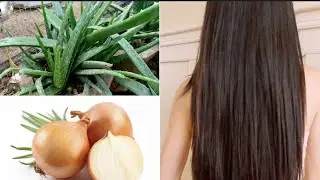 Alovera with onion juice make your hair growing faster l LCareTV