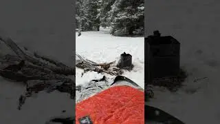 Esme 🐶 and I camping in the snow in the foothills of the Rocky Mountains - So peaceful ☺️ ❄️