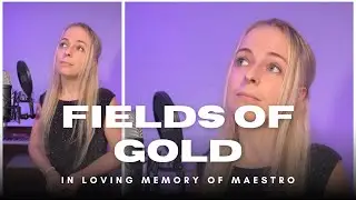 I lost my best friend, so here&rsquo;s a tribute: Fields of Gold - Sting