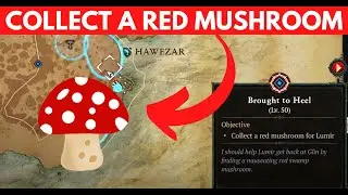 Collect A Red Mushroom For Lumir Diablo 4