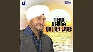 Tera Bhana Mitha Lage