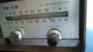 MOV00331