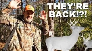 Buck Madness!| Predators EVERYWHERE!!! | Trail Camera Videos