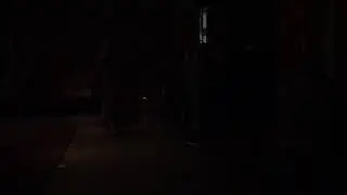 正法精舍2019年四眾禪七午板香開靜吃茶