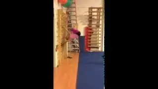 stall bars