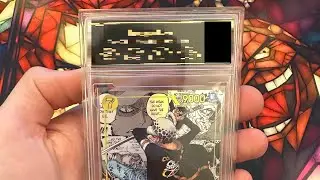 I got my OP10 manga Trafalgar Law graded with Premier Card Grading! | My experience!