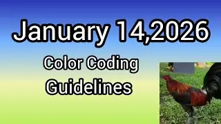 January 14,2026 Color Coding guidelines 
