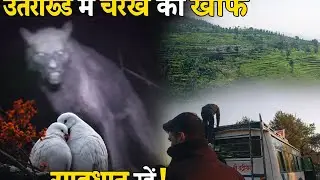 गांव में अनजान जानवर का डर 😱