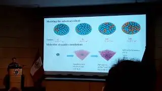 IC13 Simulation and prediction of properties of polyelectrolytes and proteins Part 1