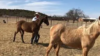 Trip to Joe & Jimmie Wolter -2022