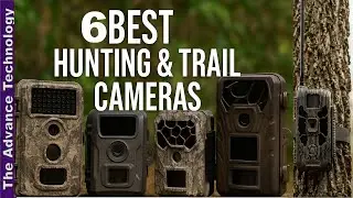 6 Best Hunting & Trail Cameras for Capturing Wildlife in Action 🔥 Best Hunting & Trail Cameras