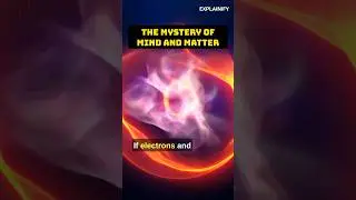 Can Science Explain Consciousness? #briangreene #conciousness