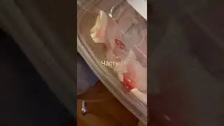 Небольшая распаковка часть 1 #канада #canada #магазин #покупки #покупка #shop #shoping