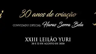 XXIII Leilão Yuri - Embriões