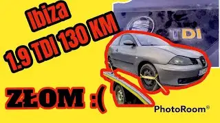 Seat Ibiza 6L 1.9 TDI 130KM - pancerny, ale 