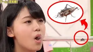 Weirdest Japanese Game Shows Compilation