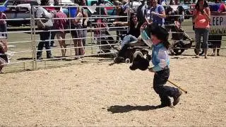 Coos County Fair Crowns Stick Horse Rodeo Queen