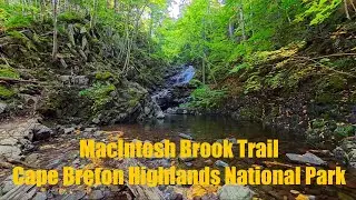 Relaxing autumn hike on MacIntosh Brook Trail in Cape Breton Highland National Park, Nova Scotia 🇨🇦