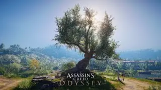 Epic Odyssey: A Tribute to Assassin's Creed