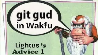 Как подходить к боям в #wakfu?