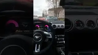 Ford Mustang GT StartUp 2018 5.0 V8