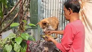 YouTube shorts #mylovelyfamily#love #vlog #Animallover#comment #viralshort #likeandsubscribe #Gd#💝🌹🙏