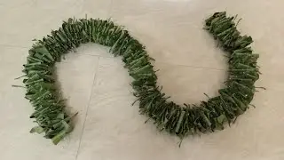 Mango leaves toran | how to make toran | mango leaves festival decor ideas | ambyachya panache toran