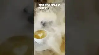 Ministry of magic in Gdansk 🪄 #harrypotter #restaurant #magic #ministryofmagic