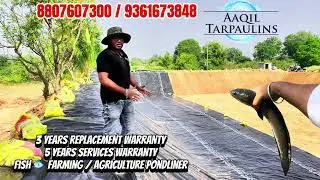 Fish 🐟 Farming விரால் மீ்ன் வளர்ப்பதற்காக #tarpaulin #agriculture #fishfarming #aquaculture #tamil 