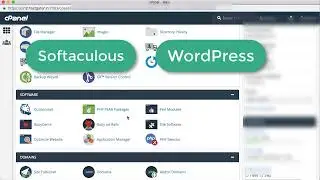 4. Installing WordPress CMS on the Domain - Building your Amazon Niche