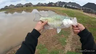 A1 Twinnz at it again!!! #pondfishing #crappiefishing #bankfishing