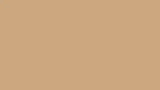 Sand Screen