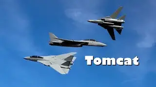 Истребитель F-14 Tomcat доступен для скачивания!