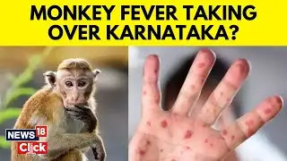 Monkey Fever | Karnataka News | More Than 100 Active Cases, 2 Deaths Due To Monkey Fever | N18V