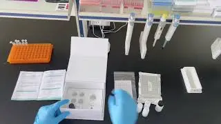 Elisa test kit Product Introduction