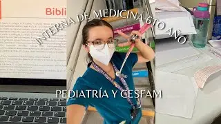 Interna de Medicina 6to año: Pediatría y CESFAM, visitas domiciliarias, seminarios | Chile | vlog