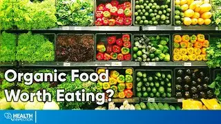 Organic Food vs Non Organic Food - Should You Consider Organic Food Over Non Organic?