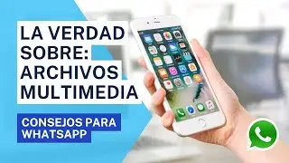 La Verdad Revelada: C&oacute;mo Funciona la Visibilidad de Archivos Multimedia en WhatsApp [2023]