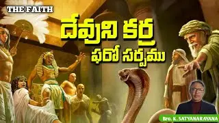 దేవుని కఱ్ఱ ఫరో సర్పము. #dailymotivation #dailymanna #dailybread #wordofgod#dailyword