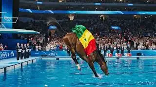 Olympic Horse 