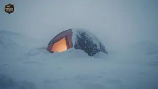 Winter Camping in a Snowstorm ┇ Cozy Tent & Howling Wind Sounds for Deep Sleep