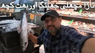 Alive Fish Shop | Fish Market Canada | @mycanada786