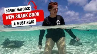 How Sophie Maycock&rsquo;s New Book is Changing the Way We See Sharks
