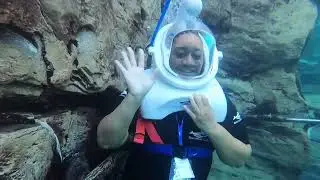 Discovery Cove SeaVenture and Grand Reef.   Did a meet and greet with a Dolphin named Natalie.