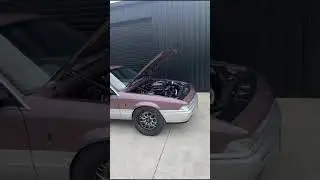 VL Calais with a Big-Block Chev #bigblock #bbc #v8 #holden #commodore #calais #vl #nz #tuff