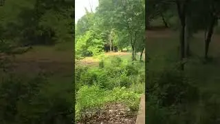 ACE run at Hobbs Farm.