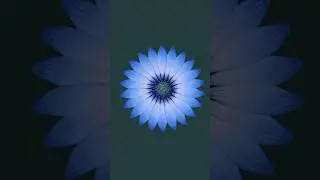 Easiest way to make Radial patterns in #adobeillustrator