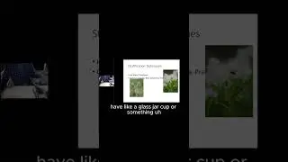 Hot Water Treatment: A Simple Way to Scarify Seeds!