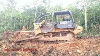 Menumbang..!!! Membersihkan dan meratakan tanah: Bulldozer Komatsu D70LE