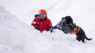 Avalanche Awareness Day